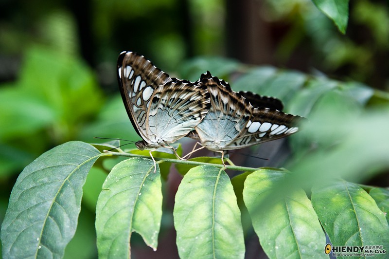 web-DSC_2106.jpg