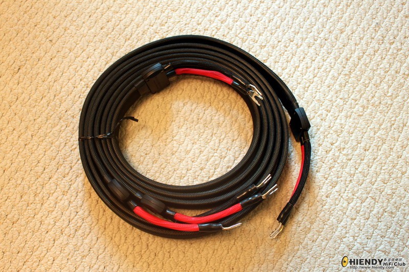 Wireworld Gold Eclipse SP 06.jpg