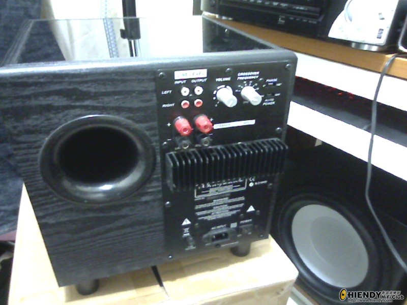Picture 6.jpg