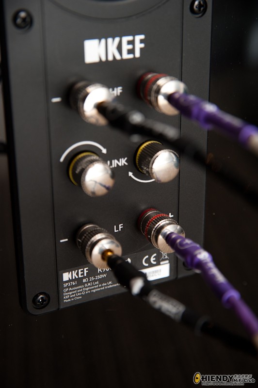 R900 Back - 1.jpg