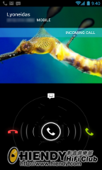 contact-call.png